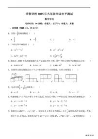 2025年哈尔滨市荣智中学中考校三模数学试卷及答案