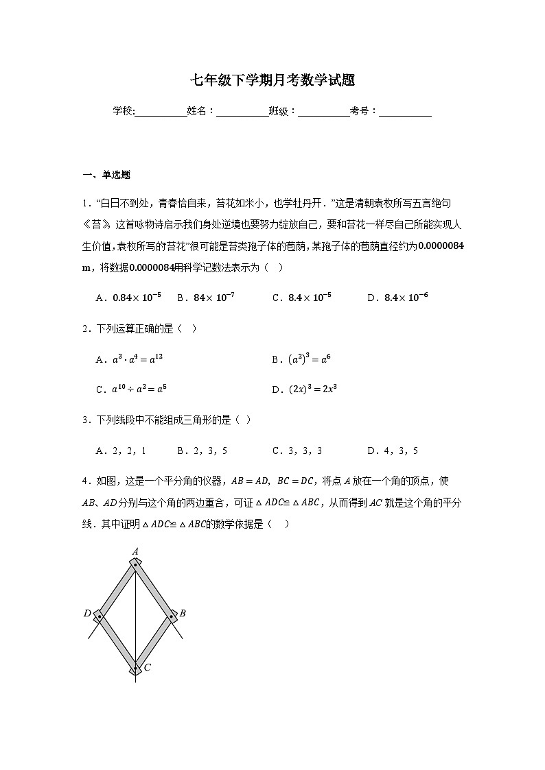 北师大版2024七年级下学期月考数学试题及答案5第1页