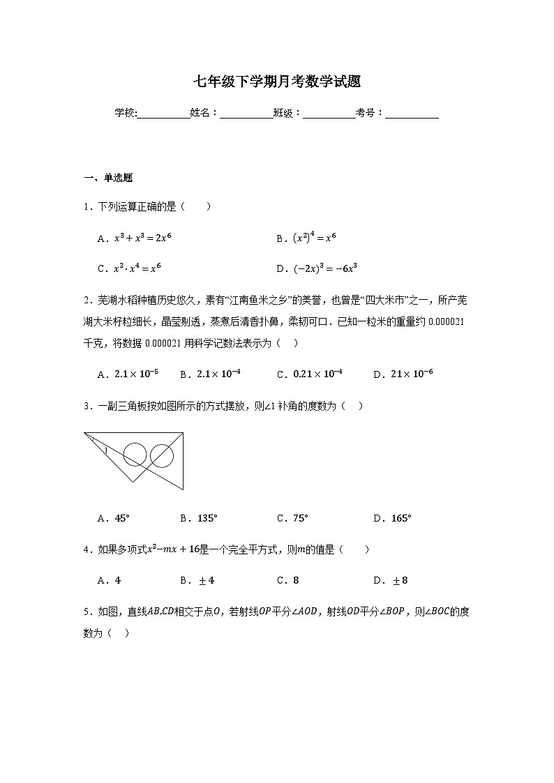 北师大版2024七年级下学期月考数学试题及答案7第1页