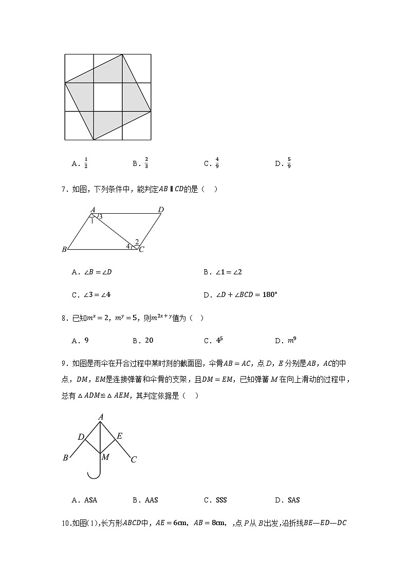 北师大版2024七年级下学期期末数学试题及答案6第2页