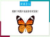 華師大版2024數(shù)學(xué)七年級下冊 9.1. 1.生活中的軸對稱 PPT課件+教案