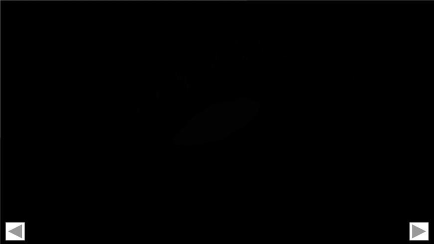 9.1.1 生活中的轴对称第4页