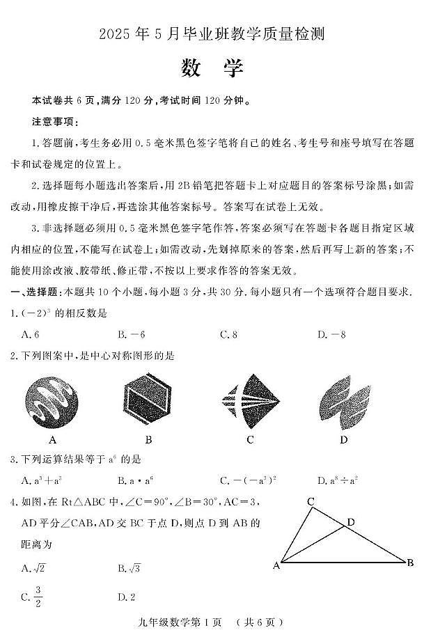 _2025年山东省菏泽市曹县中考二模数学试题（中考模拟）第1页