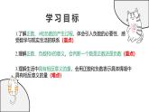 1.1 正數(shù)和負(fù)數(shù) 課件 人教版（2024）七年級上冊數(shù)學(xué)