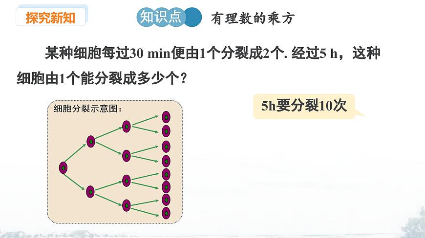 课件：新北师大版数学七上2-4 课时1 有理数的乘方第5页