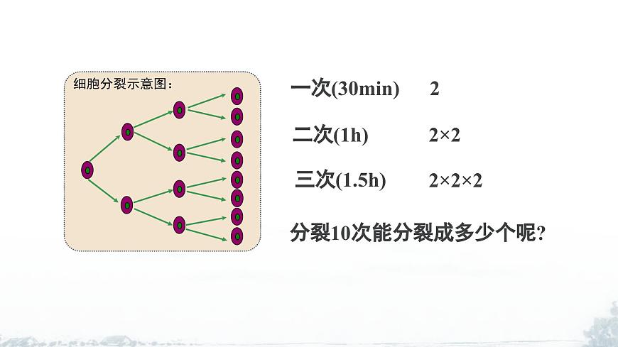 课件：新北师大版数学七上2-4 课时1 有理数的乘方第6页