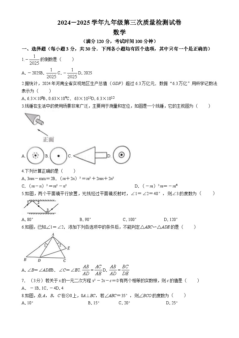 河南省漯河市2024-2025学年九年级下学期第三次联考数学试卷(含答案)第1页