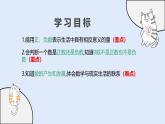 1.1.1 正數(shù)和負數(shù)（教學課件）——初中數(shù)學華東師大（2024）七年級上冊