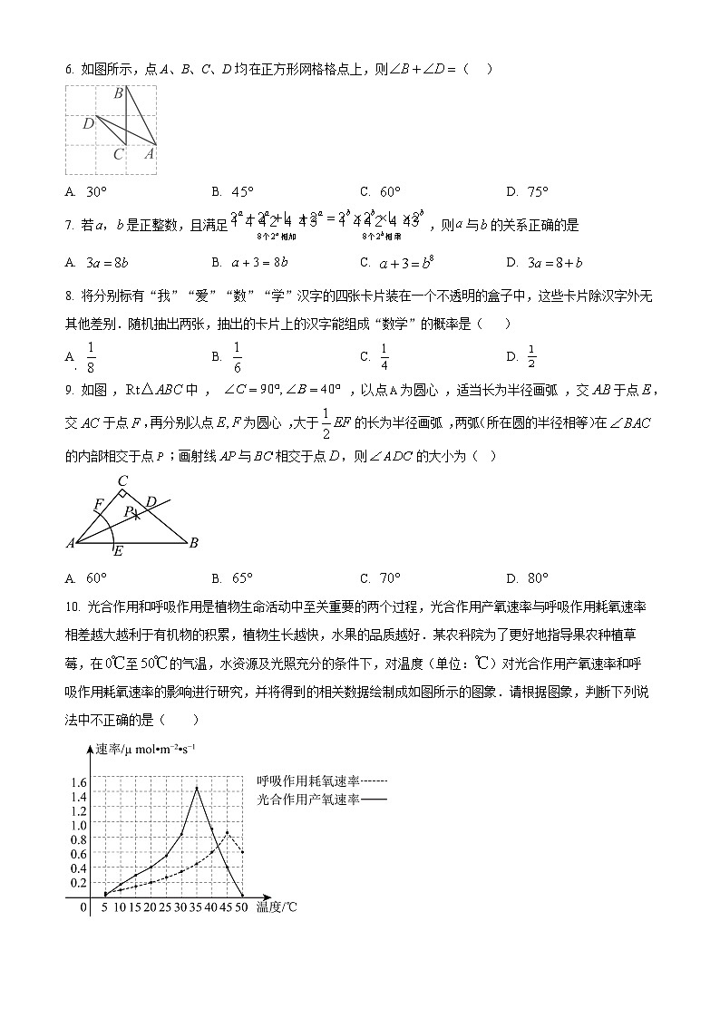 2025年河南省周口市西华县九年级中考三模数学试卷（中考模拟）第2页