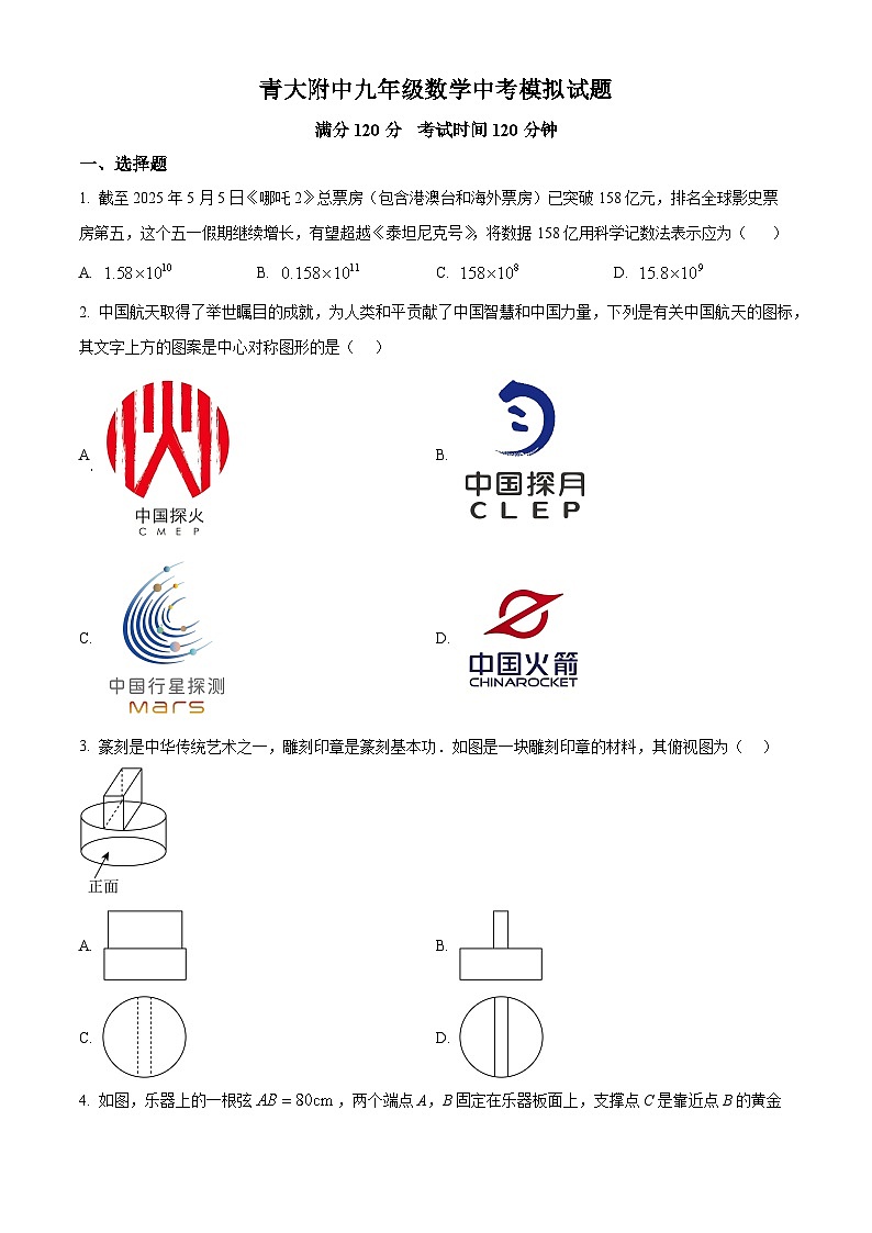 2025年山东省青岛市青岛大学附属中学九年级数学中考模拟试题（中考模拟）第1页