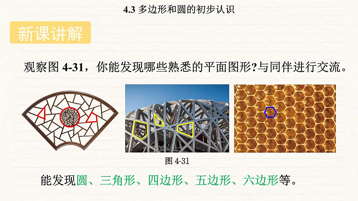 北师大版（2024）七年级数学上册 4.3 多边形和圆的初步认识（课件）第4页