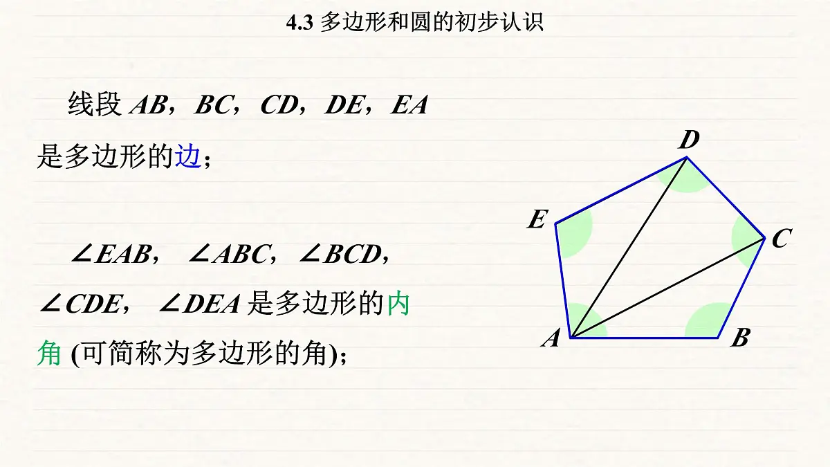 北师大版（2024）七年级数学上册 4.3 多边形和圆的初步认识（课件）第7页