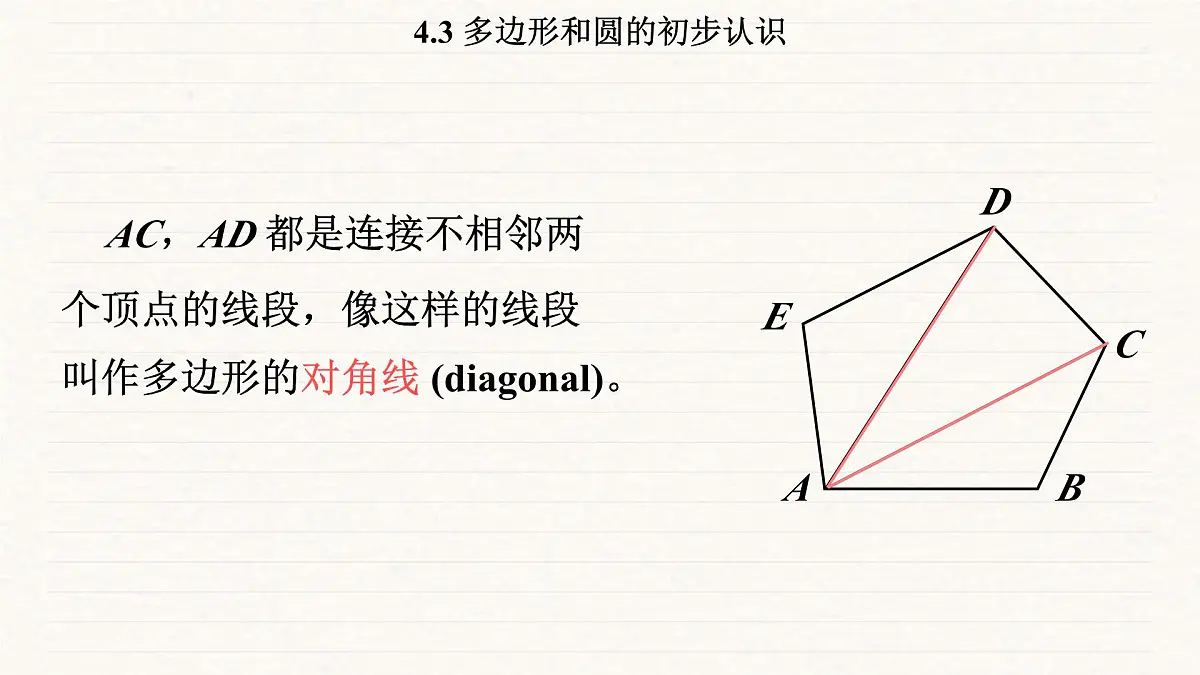 北师大版（2024）七年级数学上册 4.3 多边形和圆的初步认识（课件）第8页