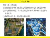 蘇科版（2024）數(shù)學(xué)七年級上冊 1.1 生活 觀察（課件）