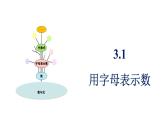 青島版（2024）七年級數(shù)學(xué)上冊 3.1 用字母表示數(shù) （課件）