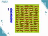 2024青島版八年級數(shù)學(xué)上冊第一章1.2證明第1課時課件+教案