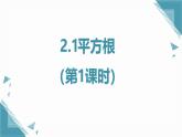 2024蘇科版初中數(shù)學(xué)八年級上學(xué)期2.1平方根（第1課時）課件+教案