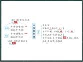 華東師大版（2024）數(shù)學七年級上冊 第3章 圖形的初步認識 小結（課件）