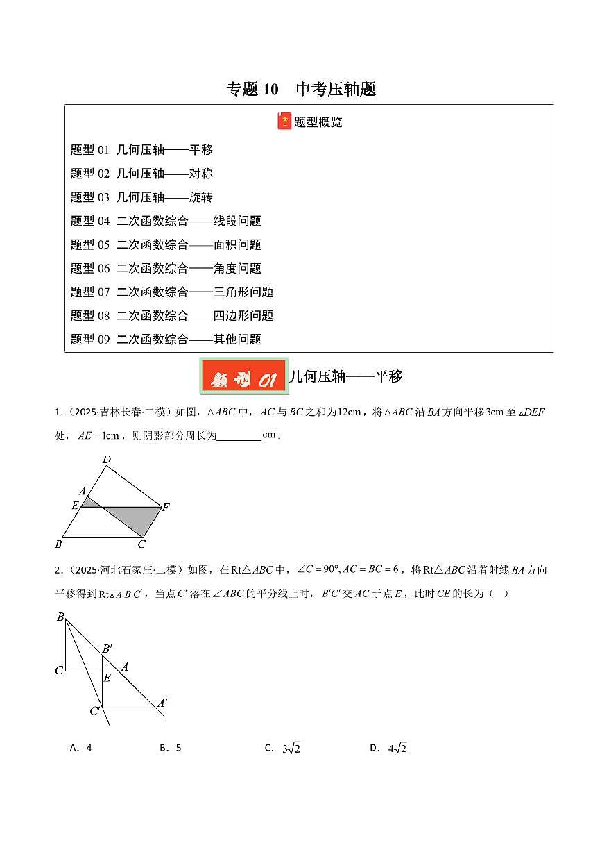专题10 中考压轴题(原卷版)第1页