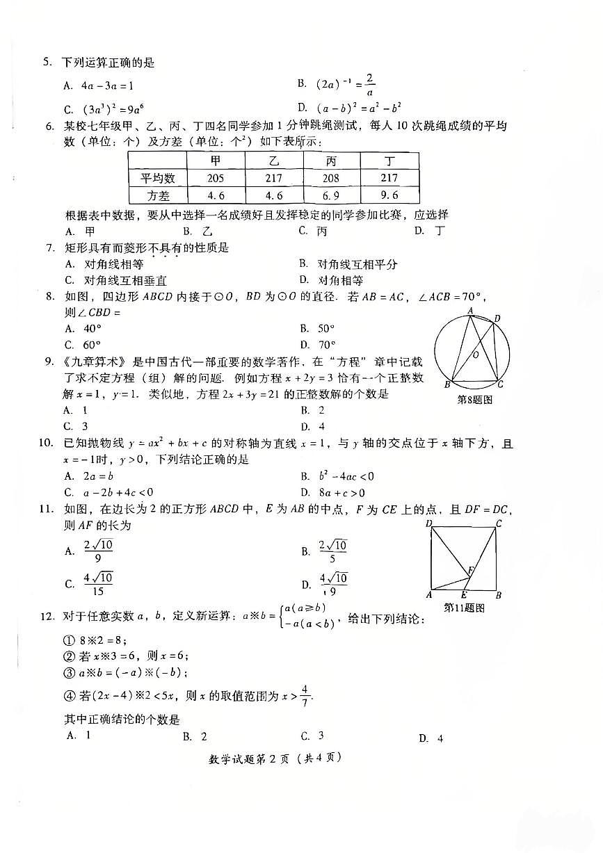 2025年四川省泸州市中考数学试题（无答案）第2页
