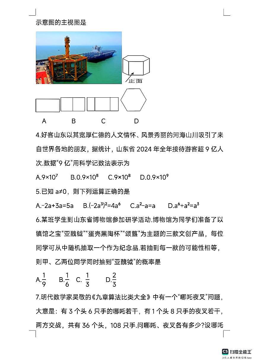 2025年山东省统考地区中考数学试题+无答案第2页
