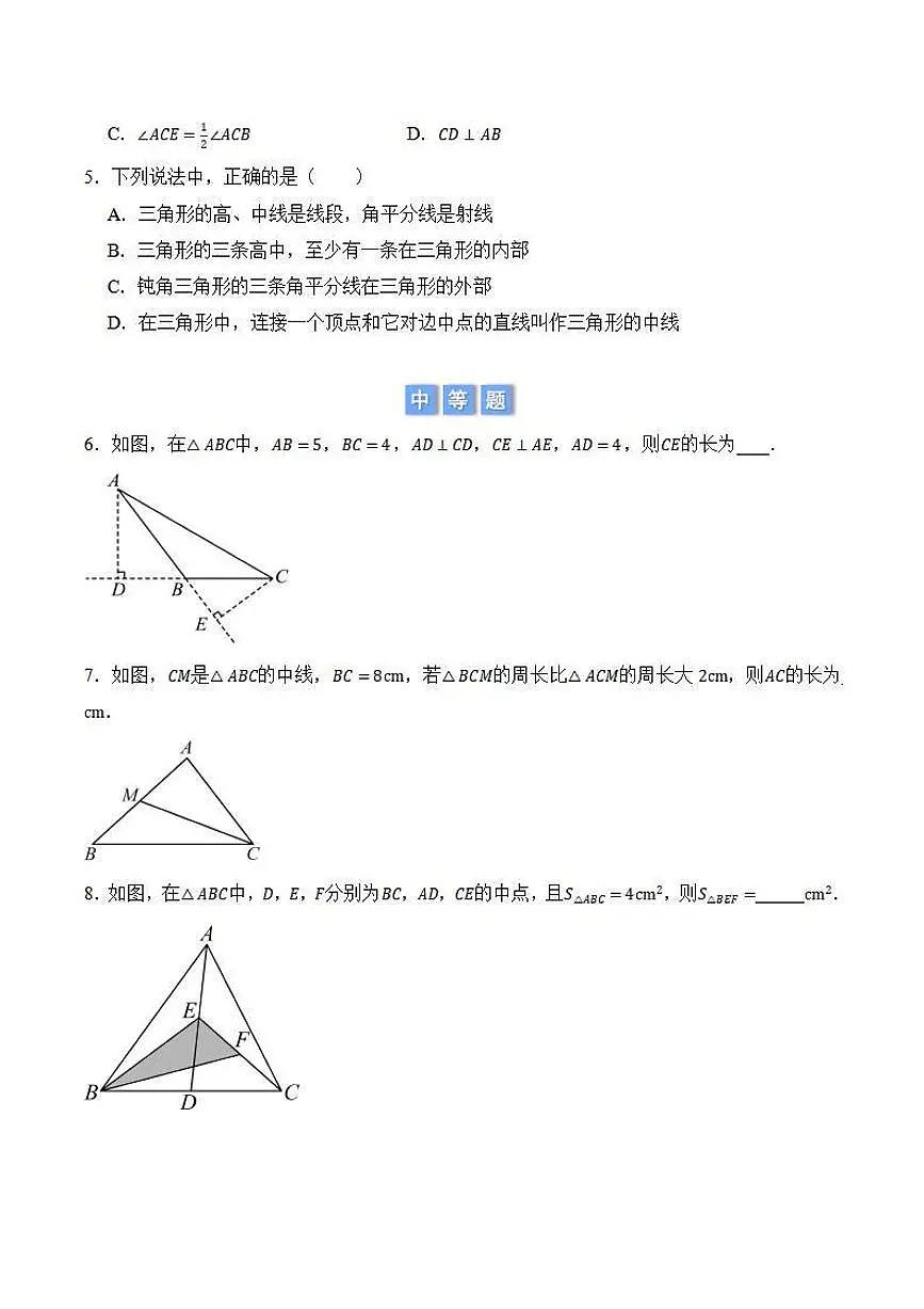 三角形三线的性质和应用（原卷版）第2页