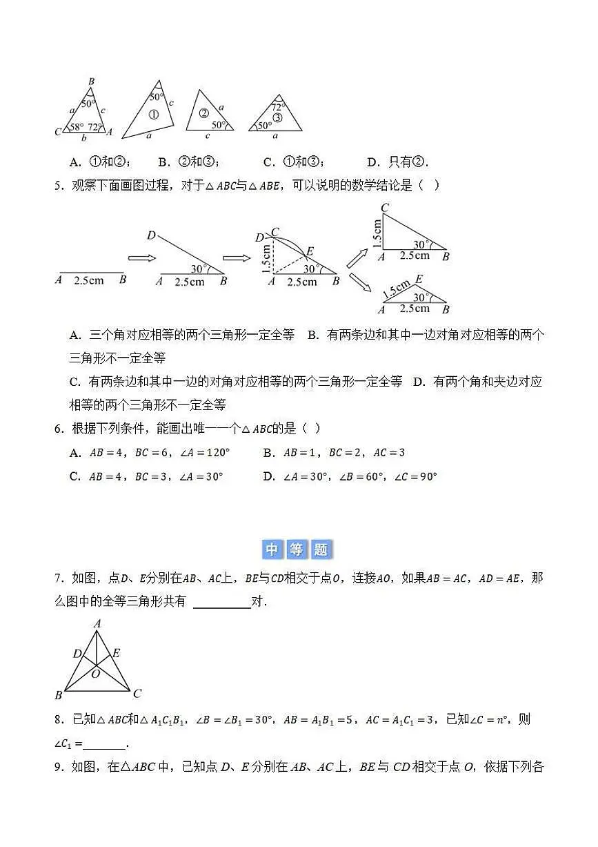 全等三角形的判定性质综合（原卷版）第2页