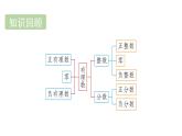 青島版（2024）七年級數(shù)學(xué)上冊 1.3 數(shù)軸（課件）