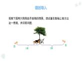 華師大版數(shù)學(xué)（2024）七年級上冊 1.4 絕對值   課件