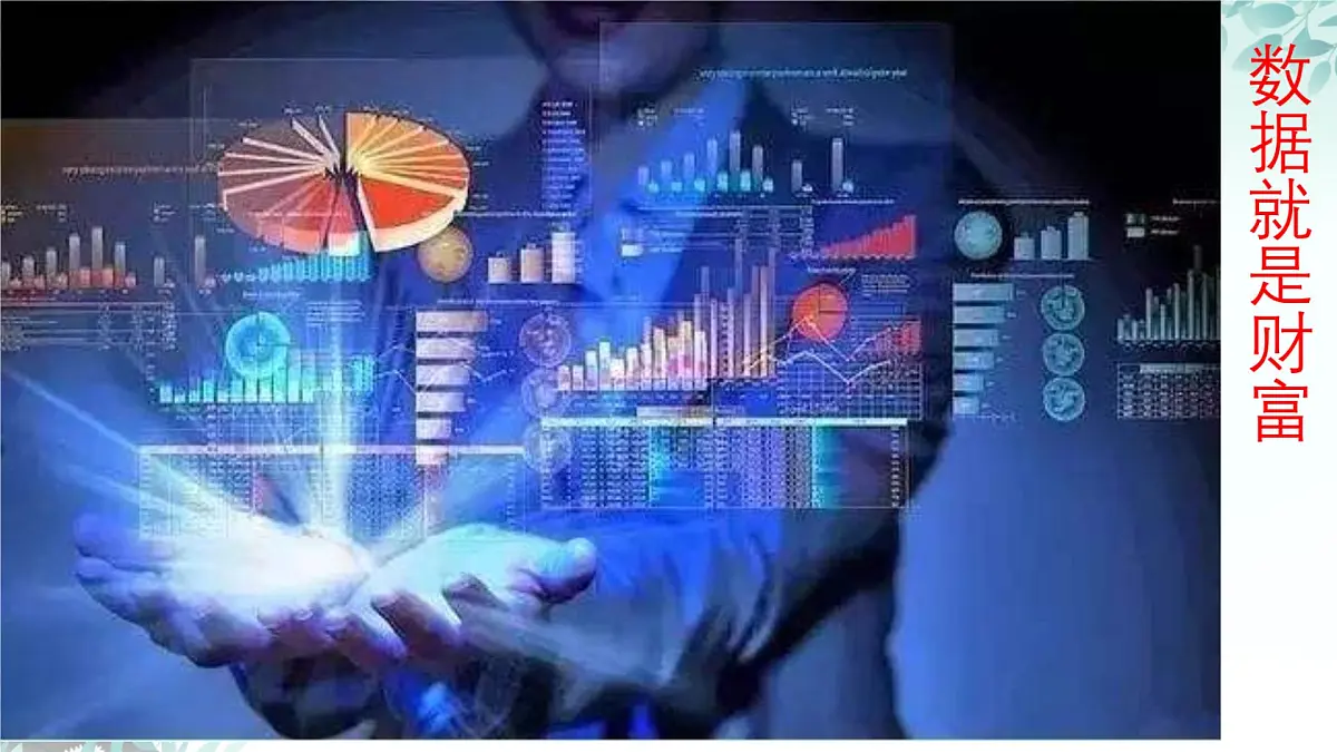 12.1.2 抽样调查 课件 2024—2025学年人教版七年级数学下册第3页