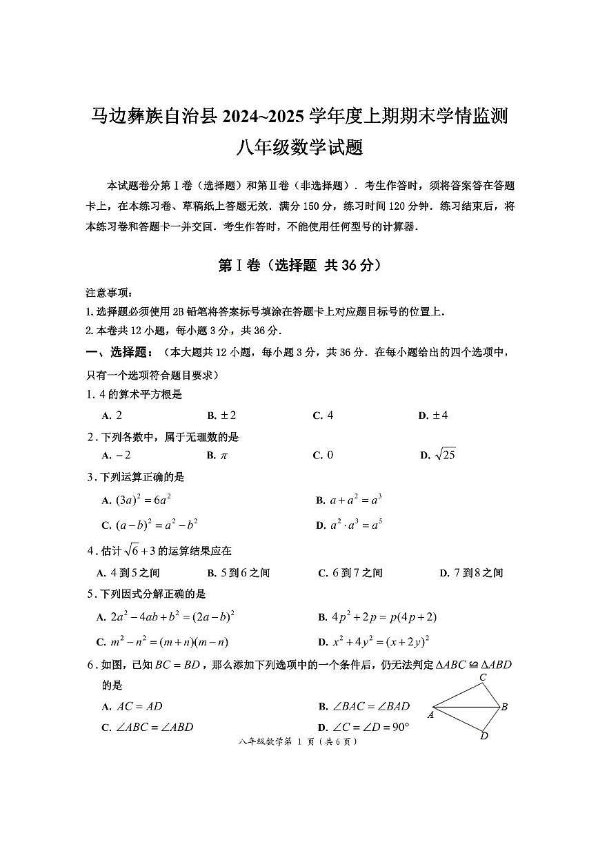 四川省乐山市马边彝族自治县 2024~2025学年八年级数学上学期期末学情监测试题第1页