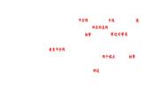 北師大版七下數(shù)學-第五章 圖形的軸對稱-章末考點復(fù)習【課件】