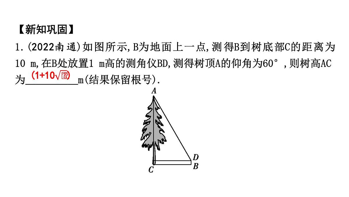 北师版九下数学1.6 利用三角函数测高【课件】第6页