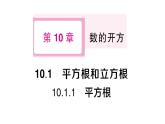 初中數(shù)學(xué)新華東師大版八年級上冊10.1.1 平方根作業(yè)課件（2025秋）含答案