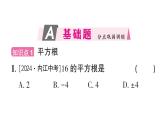 初中數(shù)學(xué)新華東師大版八年級上冊10.1.1 平方根作業(yè)課件（2025秋）含答案