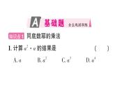 初中數(shù)學(xué)新華東師大版八年級上冊11.1.1 同底數(shù)冪的乘法作業(yè)課件（2025秋）含答案