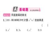 初中數(shù)學(xué)新華東師大版八年級上冊11.1.4 同底數(shù)冪的除法作業(yè)課件（2025秋）含答案