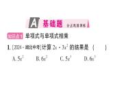 初中數學新華東師大版八年級上冊11.2.1 單項式與單項式相乘作業(yè)課件（2025秋）含答案