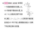 初中數(shù)學(xué)新華東師大版八年級(jí)上冊12.1.2 定義、定理與證明作業(yè)課件（2025秋）含答案