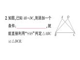 初中數(shù)學(xué)新華東師大版八年級上冊12.2.2 邊角邊作業(yè)課件（2025秋）含答案