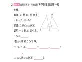 初中數(shù)學(xué)新華東師大版八年級上冊12.2.2 邊角邊作業(yè)課件（2025秋）含答案