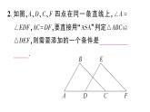 初中數(shù)學(xué)新華東師大版八年級(jí)上冊(cè)12.2.3第1課時(shí) 角邊角作業(yè)課件（2025秋）含答案
