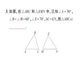 初中數(shù)學(xué)新華東師大版八年級(jí)上冊(cè)12.2.3第1課時(shí) 角邊角作業(yè)課件（2025秋）含答案
