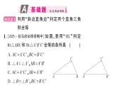 初中數(shù)學(xué)新華東師大版八年級(jí)上冊(cè)12.2.5 斜邊直角邊作業(yè)課件（2025秋）含答案