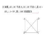 初中數(shù)學(xué)新華東師大版八年級(jí)上冊(cè)12.2.5 斜邊直角邊作業(yè)課件（2025秋）含答案