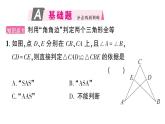 初中數(shù)學(xué)新華東師大版八年級上冊12.2.3第2課時 角角邊作業(yè)課件（2025秋）含答案
