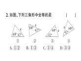 初中數(shù)學(xué)新華東師大版八年級上冊12.2.3第2課時 角角邊作業(yè)課件（2025秋）含答案