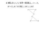初中數(shù)學(xué)新華東師大版八年級上冊12.2.3第2課時 角角邊作業(yè)課件（2025秋）含答案