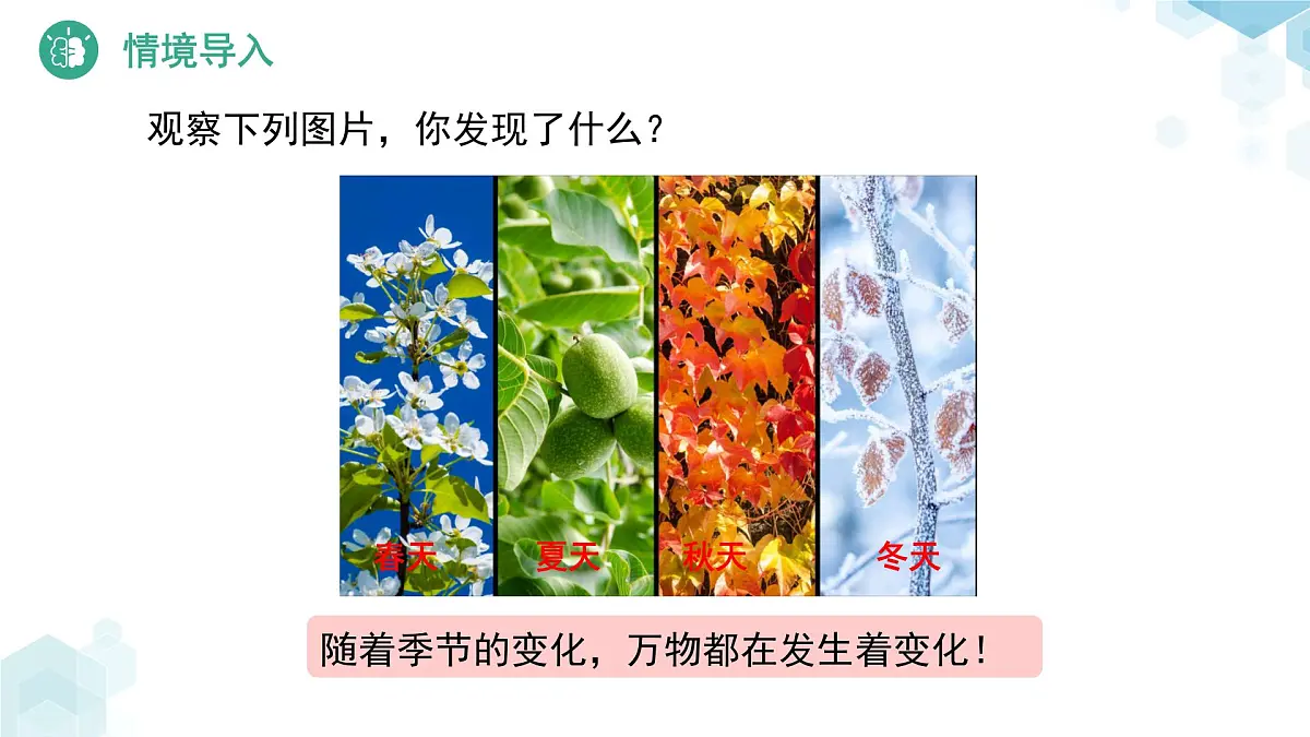 6.1 现实中的变量 课件 数学北师大版（2024）七年级下册第3页