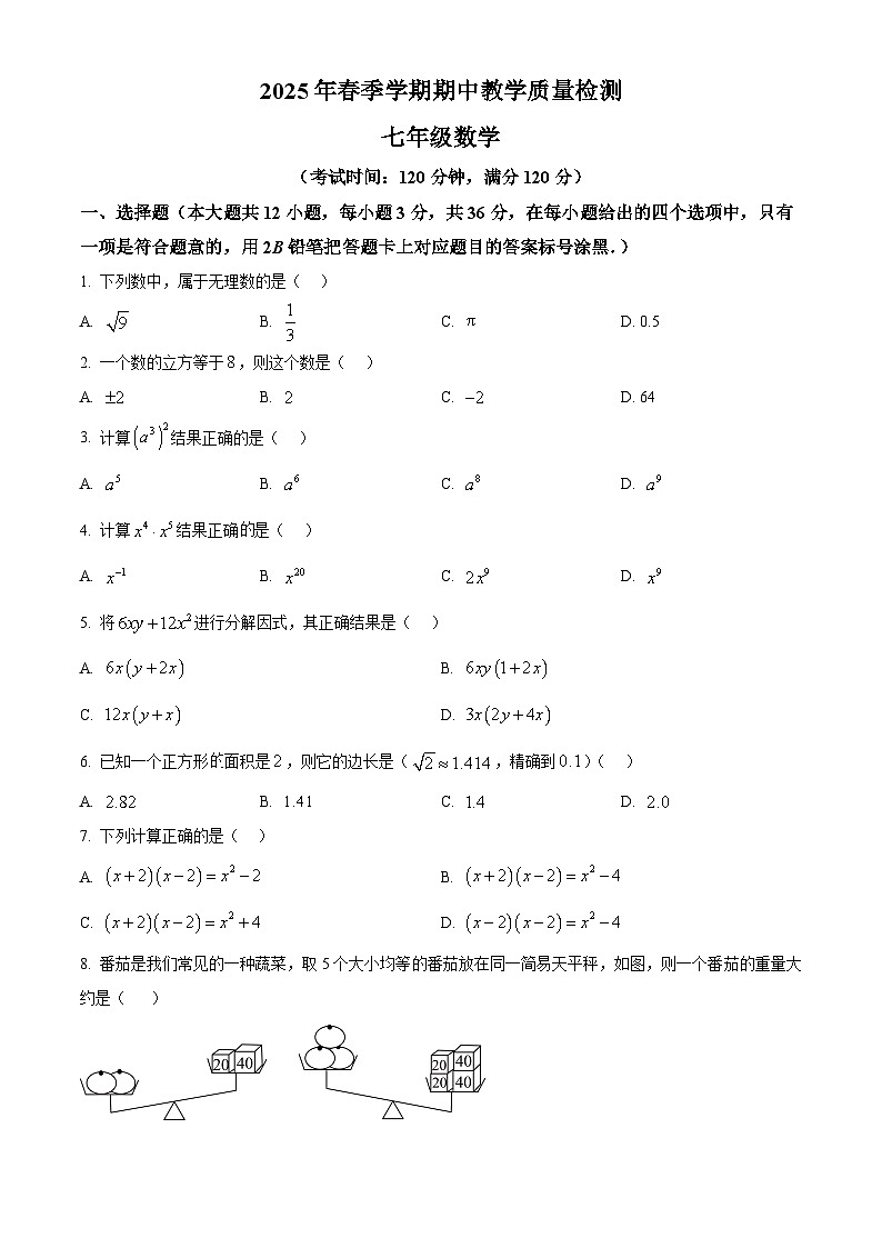 广西贺州市昭平县2024-2025学年七年级下学期4月期中数学试题第1页
